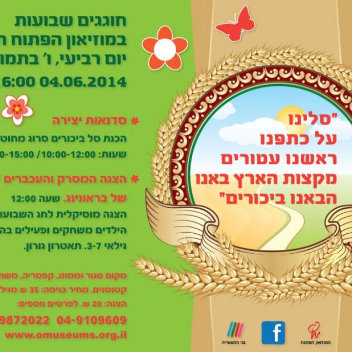  רשת-01