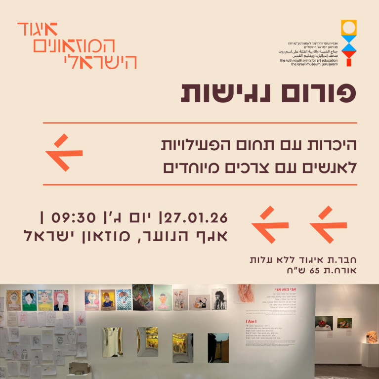 נגישות